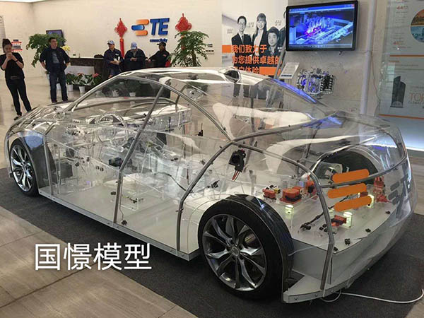 东至县透明车模型